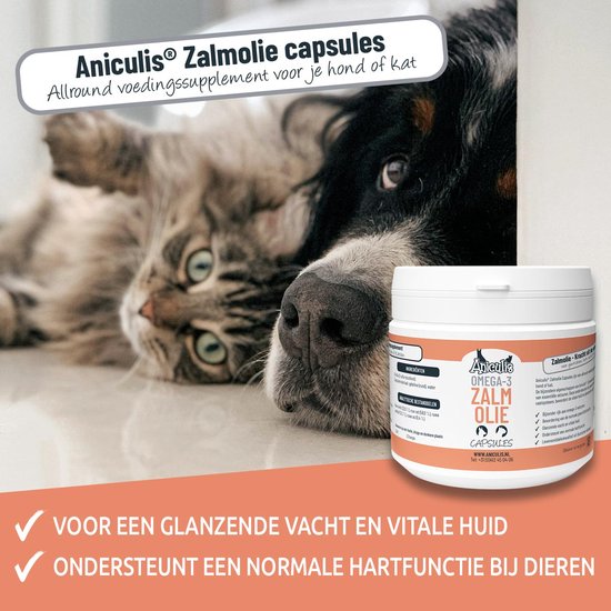 Een kat en hond liggen dicht bij elkaar, met een pot Aniculis zalmolie capsules.
