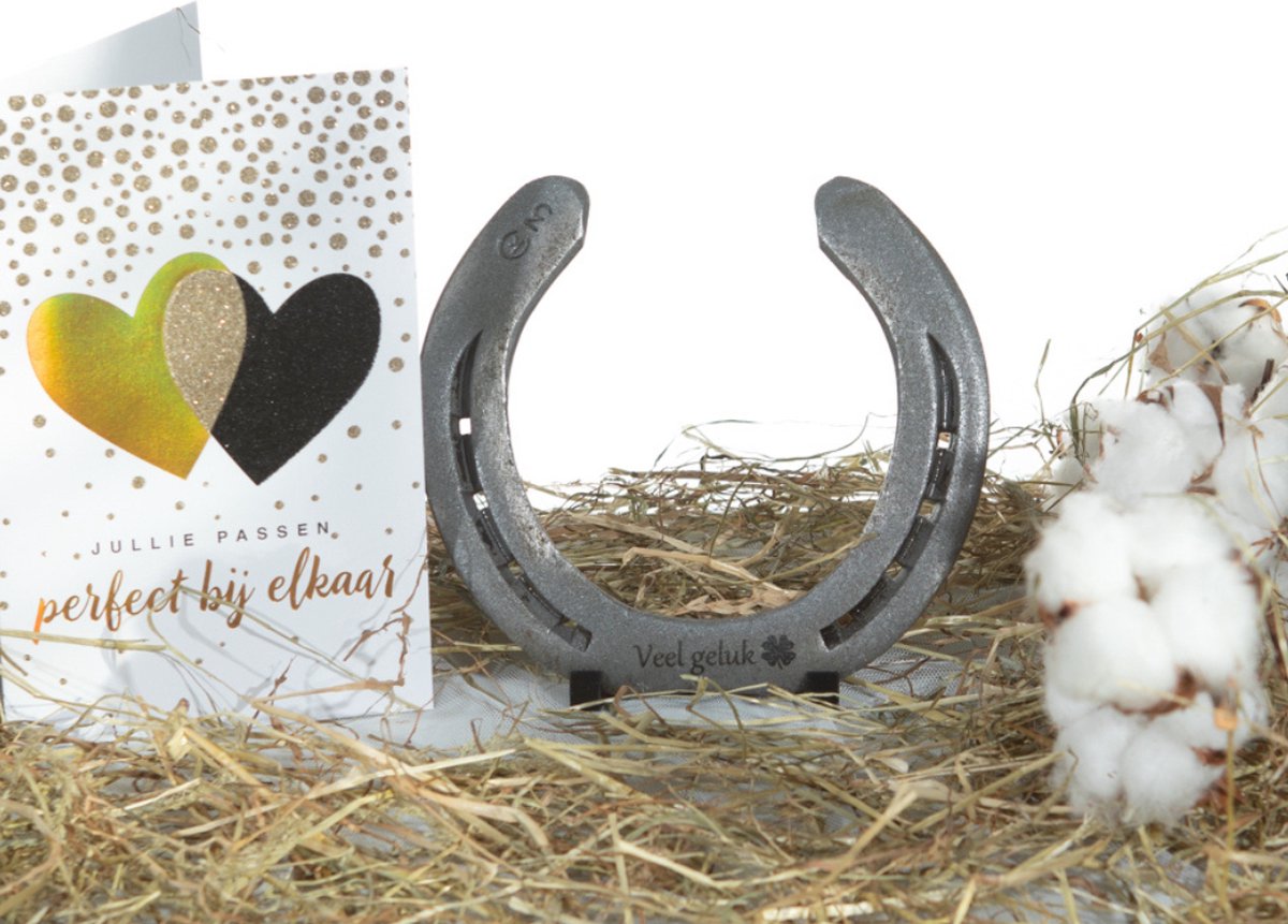 Set van 8 hoefijzers decoratie gelukset, 6 x 7 cm, cadeau met