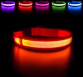 Honden halsband LED - Oranje - Maat L - USB oplaadbaar - 10 uur lang - Lichtgevende hondenhalsband - 100% waterdicht - Super helder licht - Voor huisdieren