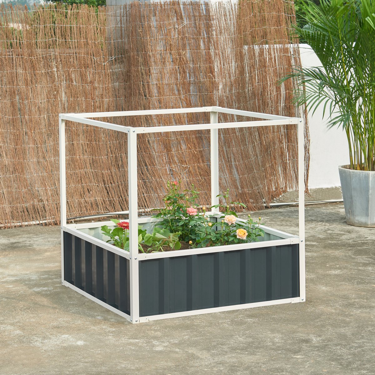 Tuinbakken moestuin kopen? | Korting tot 10 Tuinbakken moestuin kopen? | Korting tot 10