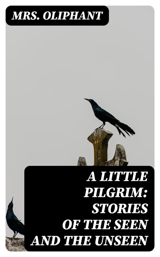 A Little Pilgrim: Stories of the Seen and the Unseen - cover