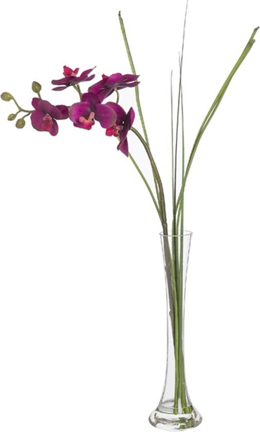 Paarse kunstmatige waterillusie orchidee H65