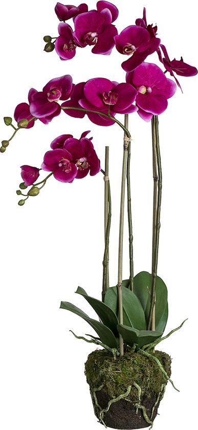 Kunstorchidee in paarse aarde H82