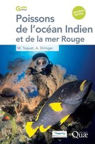 Guide pratique - Poissons de l'océan Indien et de la mer Rouge