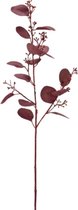 Bordeaux kunstmatige eucalyptusstengel en zaden H60