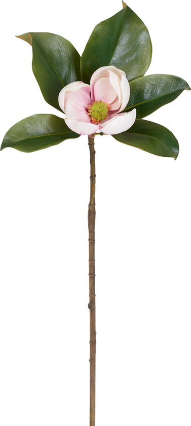 Roze kunstmatige magnolia grandiflora steel H60