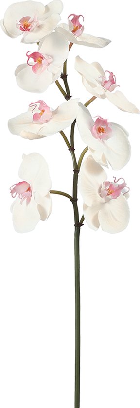 Kunstwit roze phalaenopsis orchidee stam H60