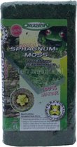 Dragon Green Sphagnum Moss 100g - Gedroogd Terrarium mos - Bio-active terrariums