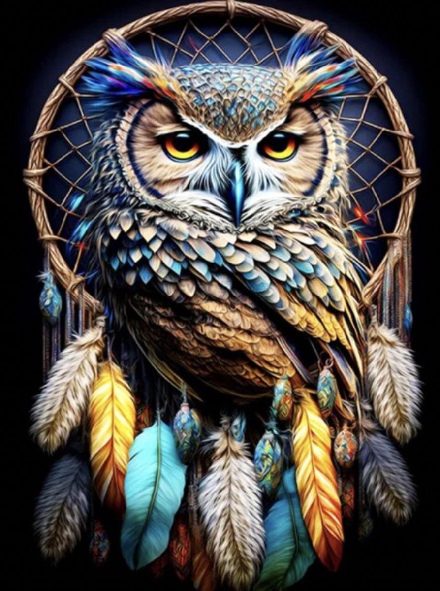 Topmo Uilen dromenvanger 40X50CM- Diamond painting pakket HQ Diamond Painting VOLLEDIG dekkend Diamant Schilderen voor Volwassenen – ROND