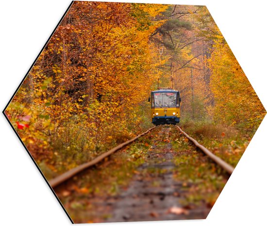 Dibond Hexagon - Tram - Bossen - Bomen - Spoor - Bladeren - Herfst - 50x43.5 cm Foto op Hexagon (Met Ophangsysteem)