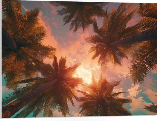 PVC Schuimplaat- Palmbomen - Kleuren - Onderaanzicht - Zon - 80x60 cm Foto op PVC Schuimplaat