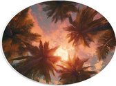 PVC Schuimplaat Ovaal - Palmbomen - Kleuren - Onderaanzicht - Zon - 28x21 cm Foto op Ovaal (Met Ophangsysteem)