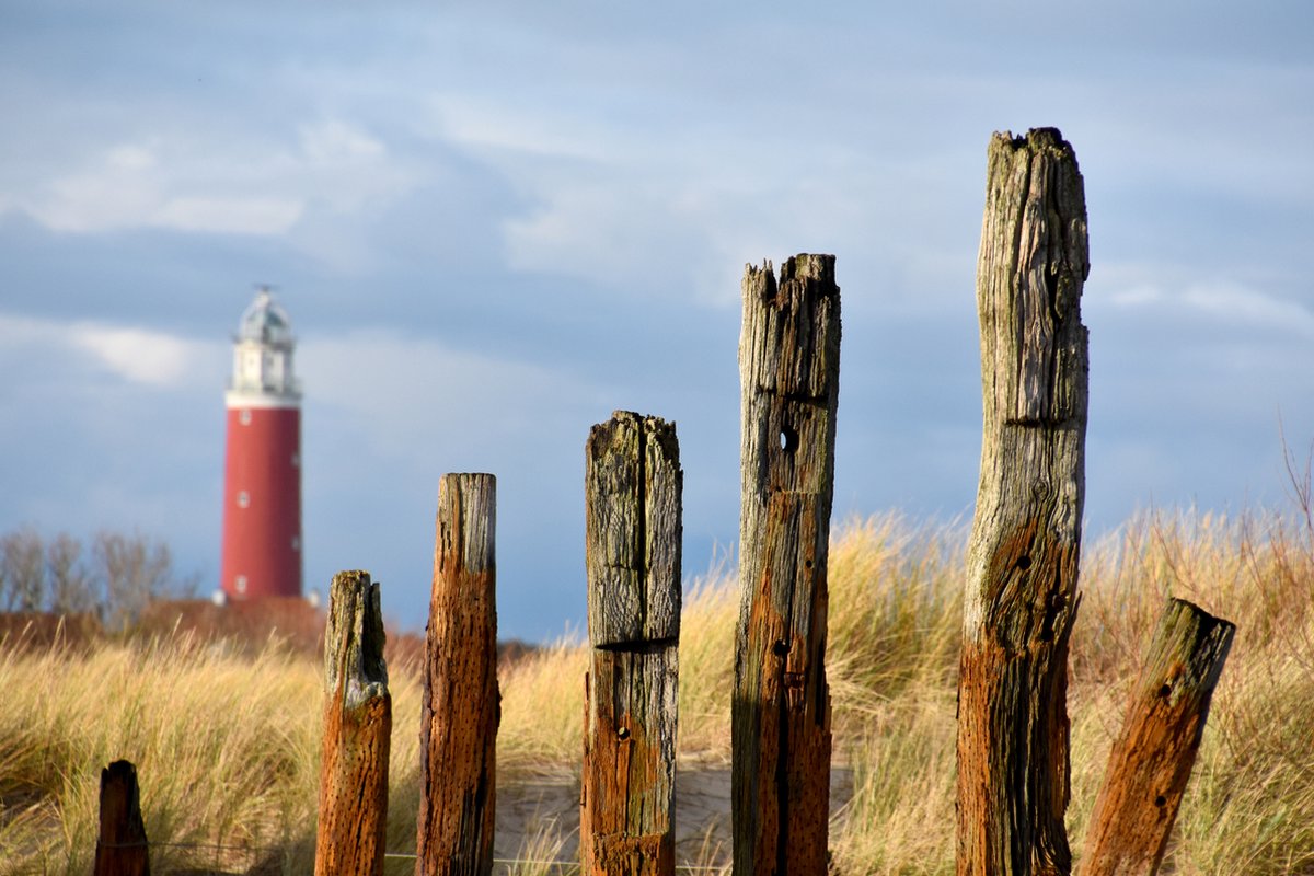 Texelphotos.nl - Foto afdruk als tuinposter – Texel Vuurtoren - Duin - Strand - Zee - Vuurtoren – Wanddecoratie - Tuinposter – Natuur - Landschap - 120 x 80 cm.
