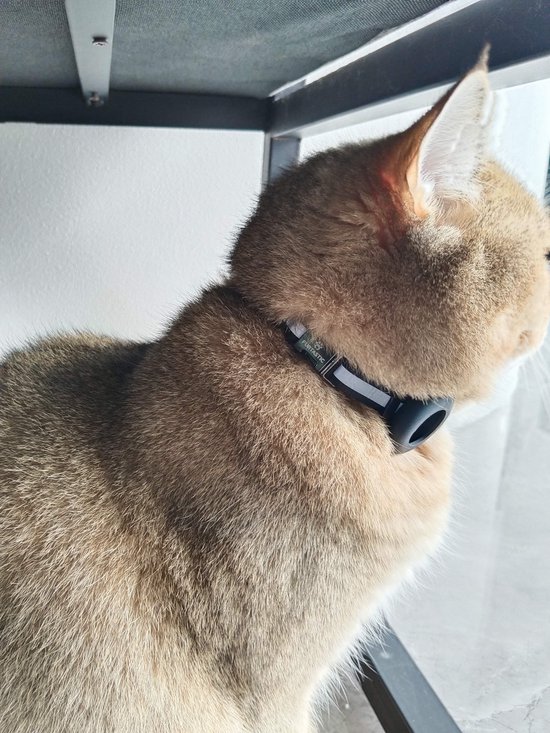 FURTASTIC® AirTag Halsband Kat - Premium Kattenhalsband met AirTag houder - AirTag Kattenhalsband met verbeterde sluiting - Reflecterende halsband - AirTag niet inbegrepen - FURTASTIC