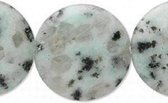 Natuurstenen kralen, Sesam Jaspis, plat ronde kralen, 24x7mm. Per snoer met 9 kralen