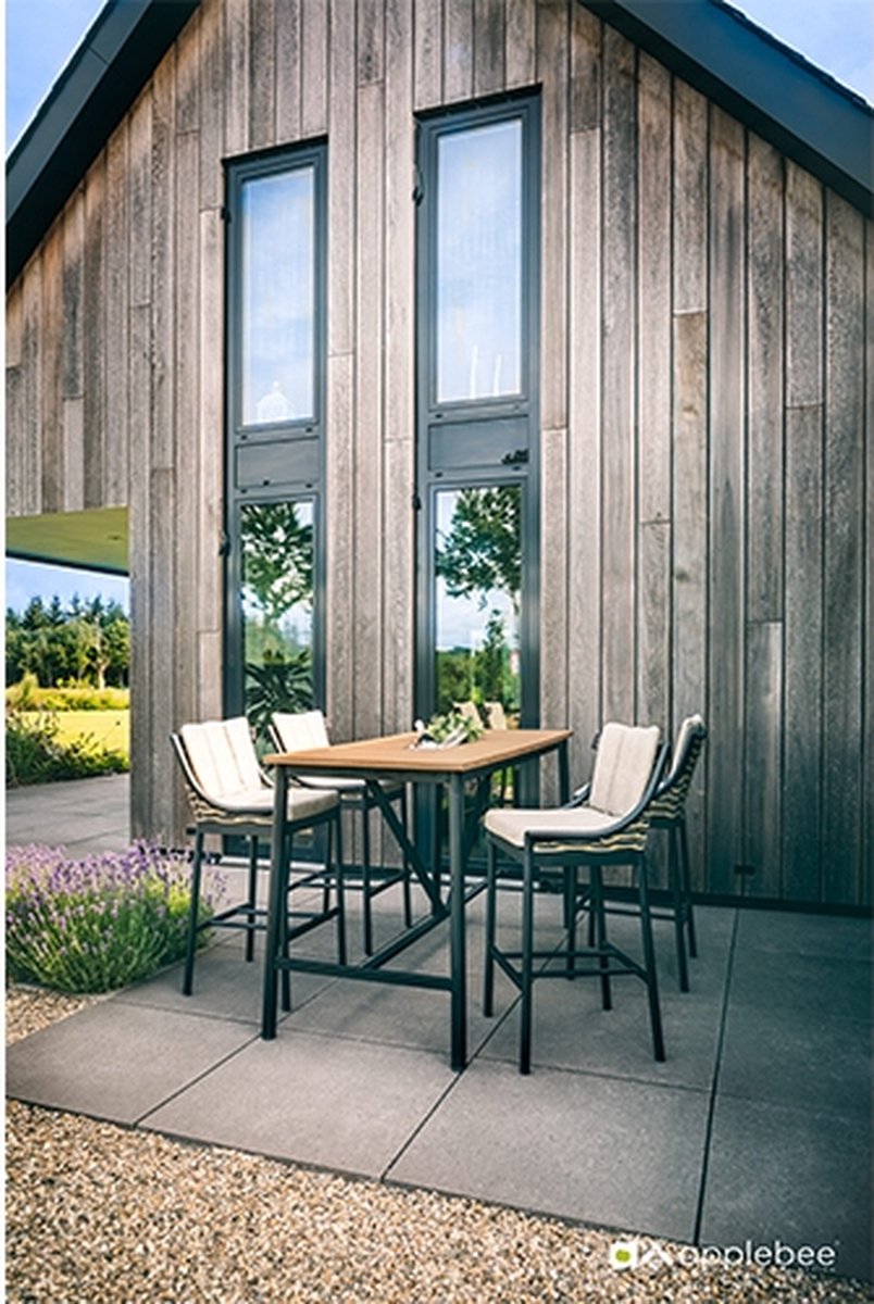 Apple Bee Milou Bar Stool - Black Aluminium
