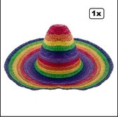 Sombrero Fiesta Rainbow - regenboog - mexico carnaval mexicaan thema party hoed hoofddeksel optocht pride feest landen