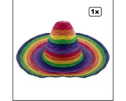 Sombrero Fiesta Rainbow - regenboog - mexico carnaval mexicaan thema party hoed hoofddeksel optocht pride feest landen