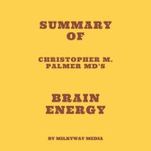 Summary of Christopher M. Palmer MD's Brain Energy