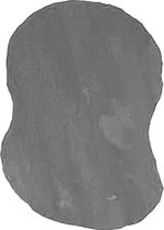 Kwartsiet Grey XXL 0,2 m2