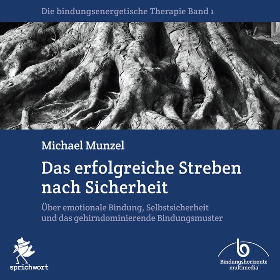 Das erfolgreiche Streben nach Sicherheit - cover