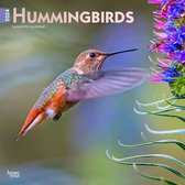 Hummingbirds Kalender 2024