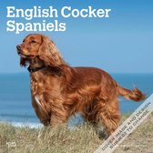 Engelse Cocker Spaniel Kalender 2024