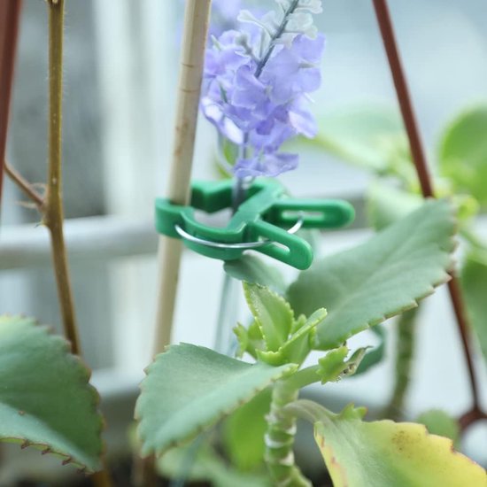 100 X Plantenklemmen, Plantensteunklemmen, Plantenklemmen, Voor Het Vastzetten Van Klimplanten