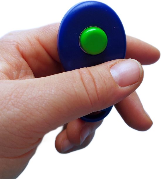 Workshop clickertraining met konijn en cavia