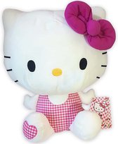Hello Kitty (Roze) Picknick Pluche Knuffel 40 cm {Hello Kitty Gingham Collection Plush - Speelgoed Knuffeldier Knuffelpop voor kinderen jongens meisjes | Hello Kity Kat Cat Plush Toy}