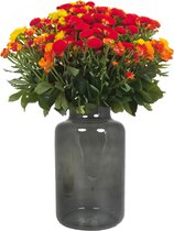 Floran Flower vase - Modèle Apothicaire - gris fumé / verre transparent - H25 x D15 cm