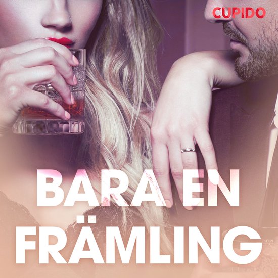 Bara en främling - erotiska noveller - cover