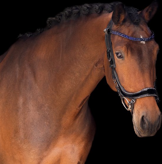 PresTeq Frontal StarGlow - taille Full - marron/indigo