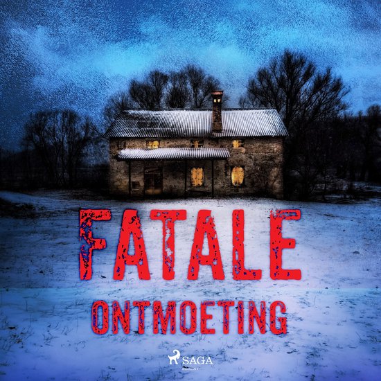 Fatale ontmoeting - cover