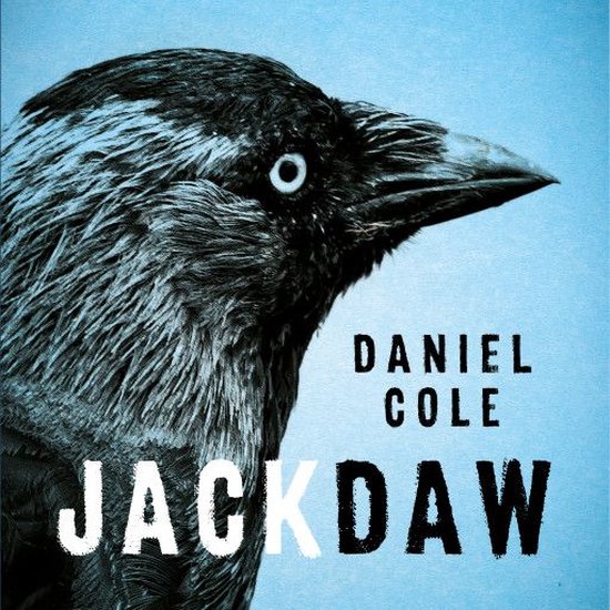 Jackdaw - cover