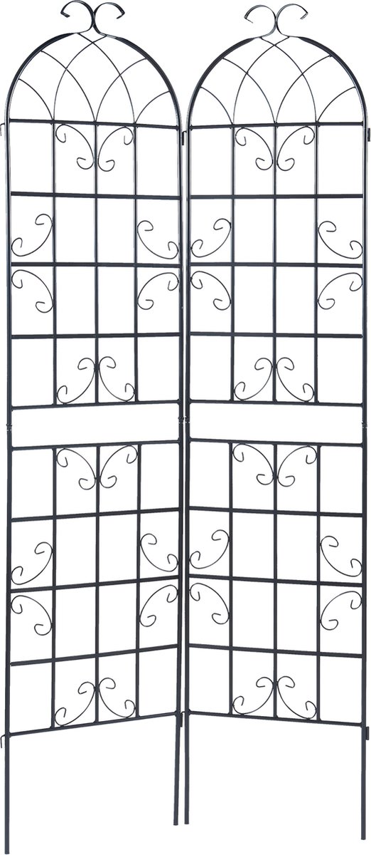 Casa.pro Tuinlatwerk Barrea hekwerk voor klimplanten 220x50 cm set van 2
