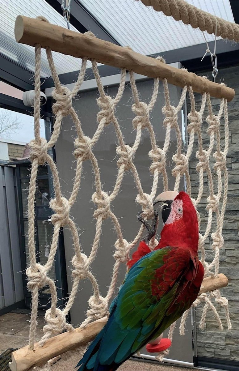 home en dier speelgoed voor papegaaien klimrek