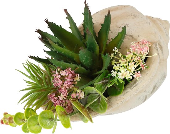Flair Flower Kunstarrangement voor vetplanten en cactussen met kunstbloemen in schelpschaal