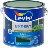 Levis Expert - Lak Buiten - Satin - Empiregroen - 2.5L