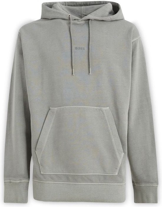 Grijs katoenen sweatshirt met logodetails en capuchon