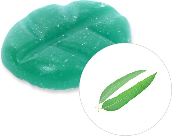 Scentchips® Eucalyptus - Geurblokjes - Huisparfum - Geurchips - Waxmelts - Geschikt voor Geurbrander en Waxbrander - XL - 38 Stuks