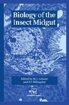 Biology of the Insect Midgut