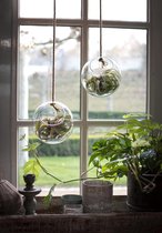 Super vintage Cactula pendentif boule en verre recyclé suspendu pot de fleur taille Petit 15 cm