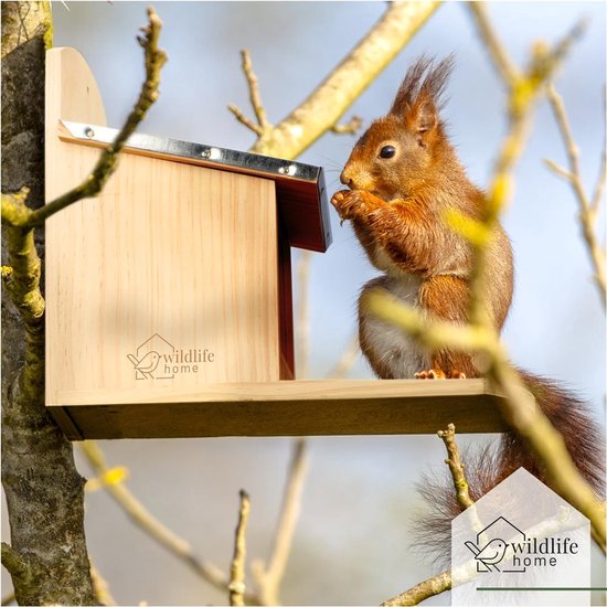 Eekhoorn Voederhuis De Luxe | 47087