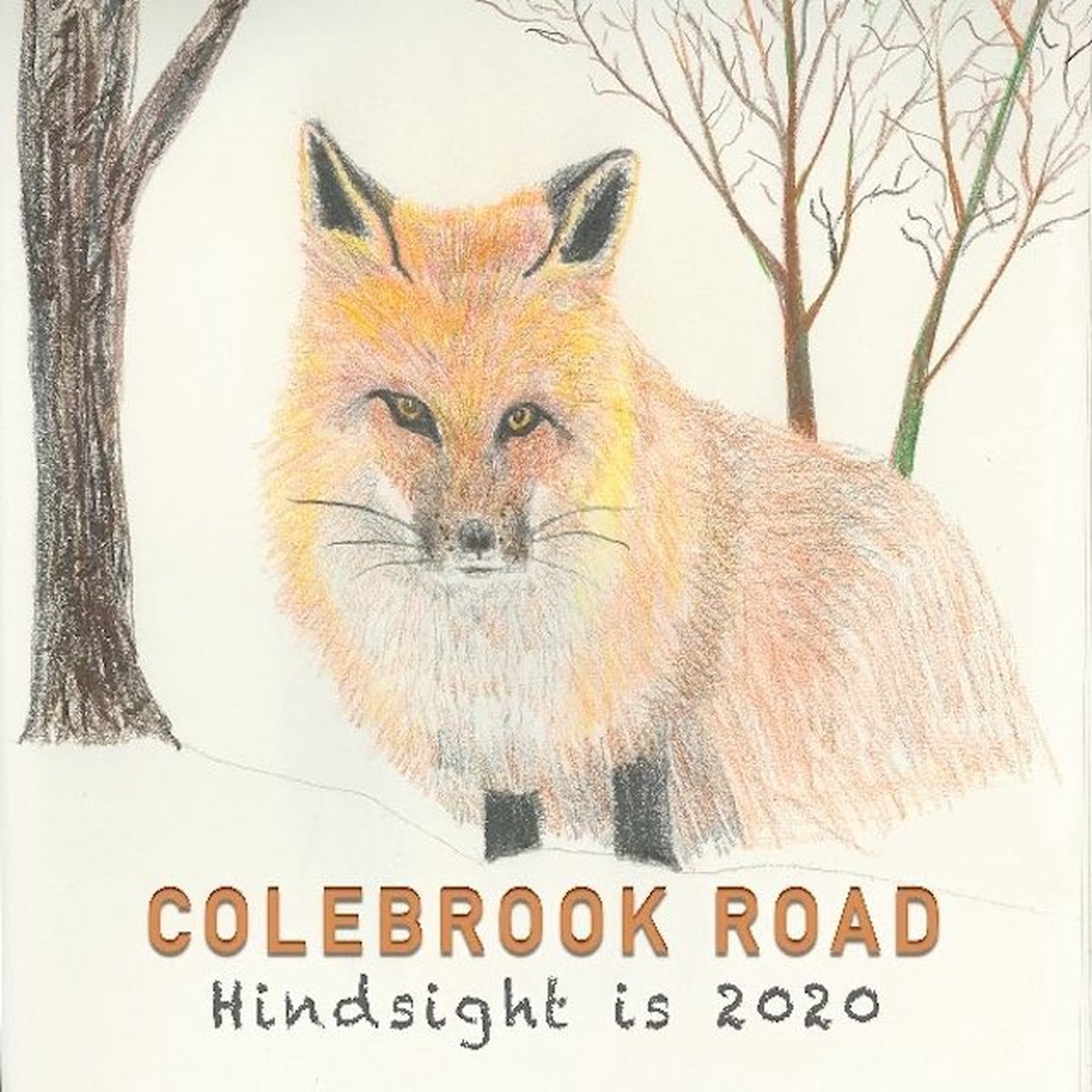 Colebrook Road - Hindsight Is 2020 (LP)