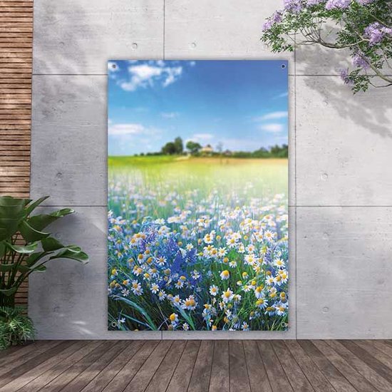 Een veld vol madeliefjes en blauwe bloemen onder een heldere blauwe lucht met witte wolken.