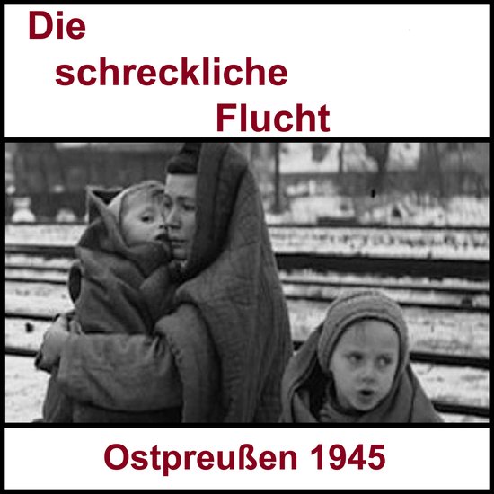 Die schreckliche Flucht - cover