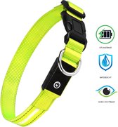 Led Halsband - Honden - Lichtgevend - USB oplaadbaar - Nachtlampje - 3 verschillende standen - Veiligheid - Waterproof - Waterdicht - Verstelbaar - Geel- Maat M