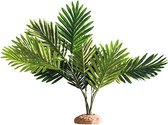Hobby Terrano Palm/Palme