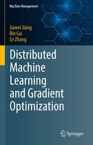 Big Data Management - Distributed Machine Learning and Gradient Optimization